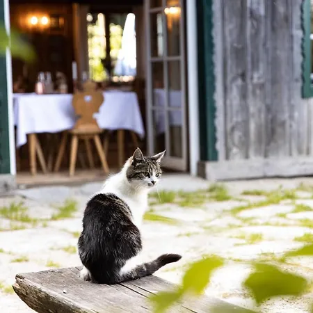 Forsthaus Wartenfels & Gourmetrestaurant 탈가우